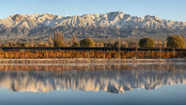 Cheval des Andes - Image 2 Cheval des Andes - Image 2