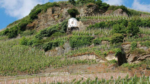 Weingut Dr. Loosen - Image 1 Weingut Dr. Loosen - Image 1