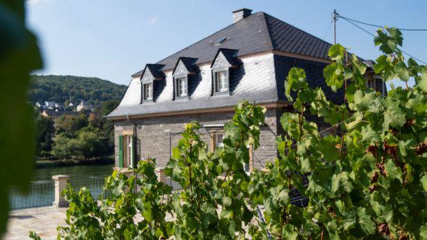Weingut Dr. Loosen - Image 3 Weingut Dr. Loosen - Image 3