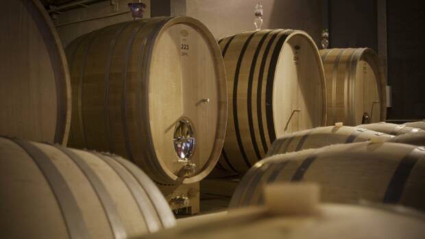 Cheval des Andes - Image 3 Cheval des Andes - Image 3