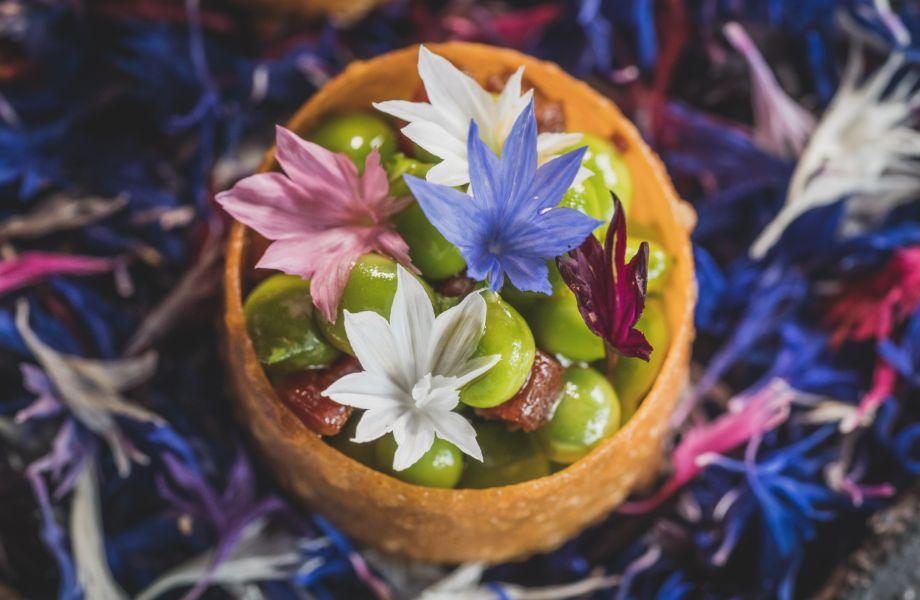 MoorHall-Aughton-England-02 MoorHall-Aughton-England-02