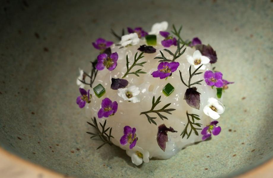 Soil-dish1-yiamouris