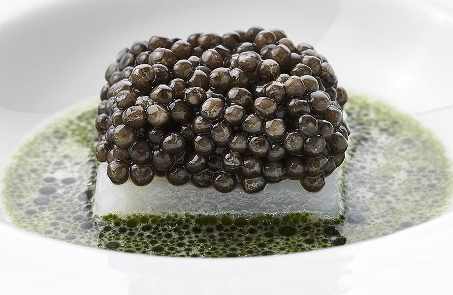 SollerodKro-Copenhagen-Denmark-01 SollerodKro-Copenhagen-Denmark-01