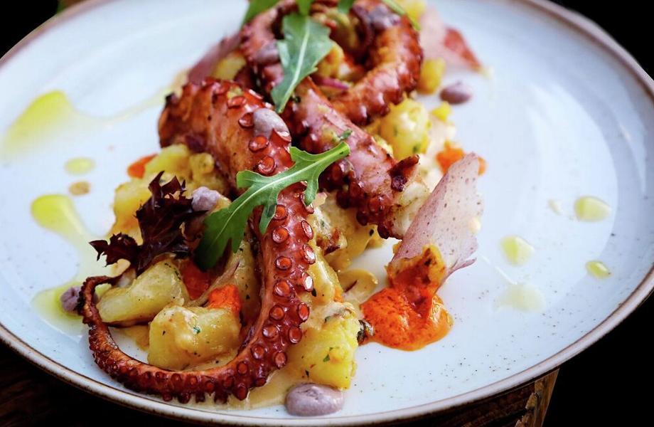 Taypa-Brasillia-Brazil-02 Taypa-Brasillia-Brazil-02