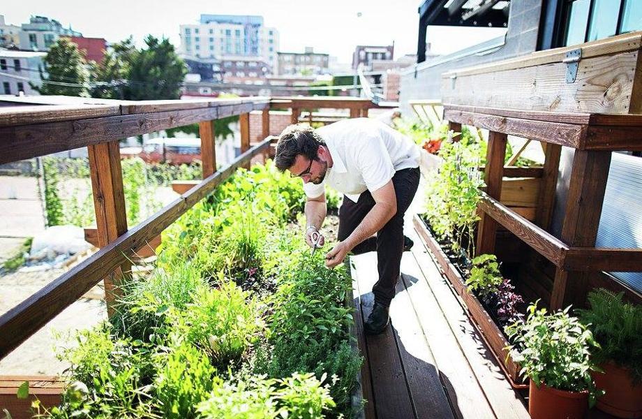 TheDabney-WashingtonDC-USA-02 TheDabney-WashingtonDC-USA-02