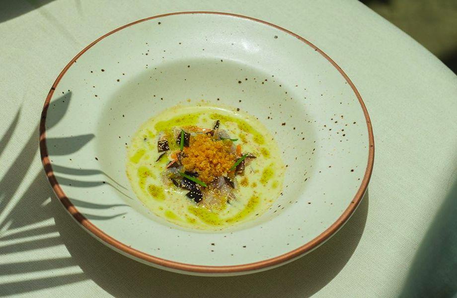TheSecondHouse_dish
