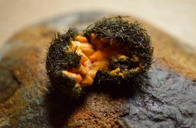 Tonoya_Yo-Iwate-Japan-1 Tonoya_Yo-Iwate-Japan-1