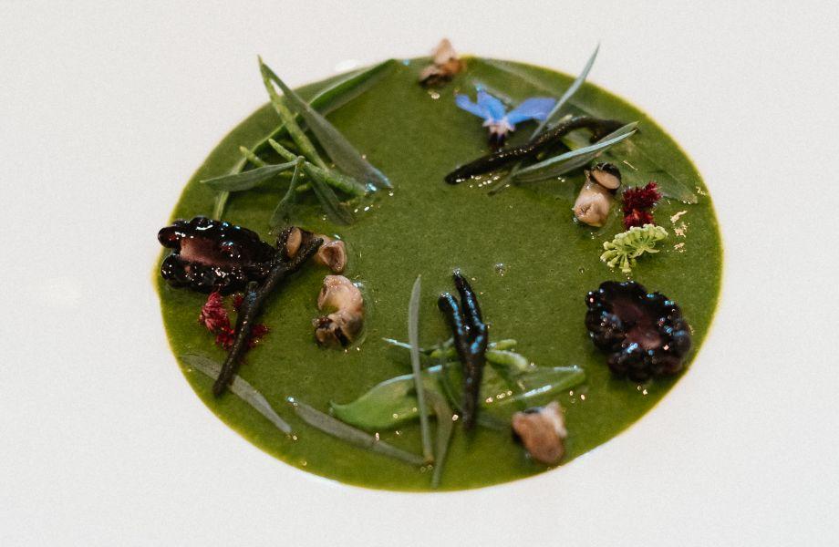 WillemHiele_dish_01 WillemHiele_dish_01