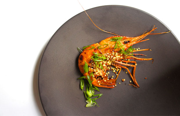 Serge-DCI-dish1-620x400