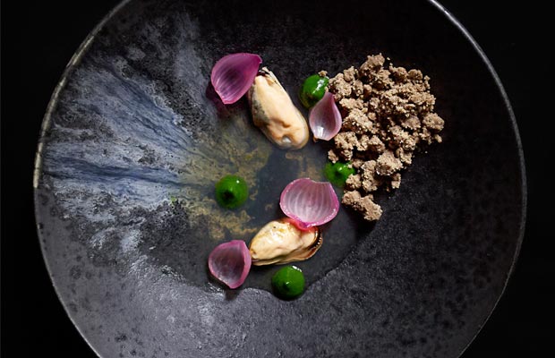 Luksus-dish1-DCI-620x400