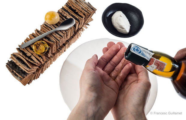 DISFRUTAR-DISH2-DCI-2016