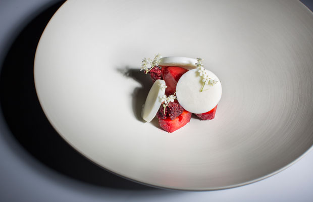 FOCUS-DISH2-DCI-2016