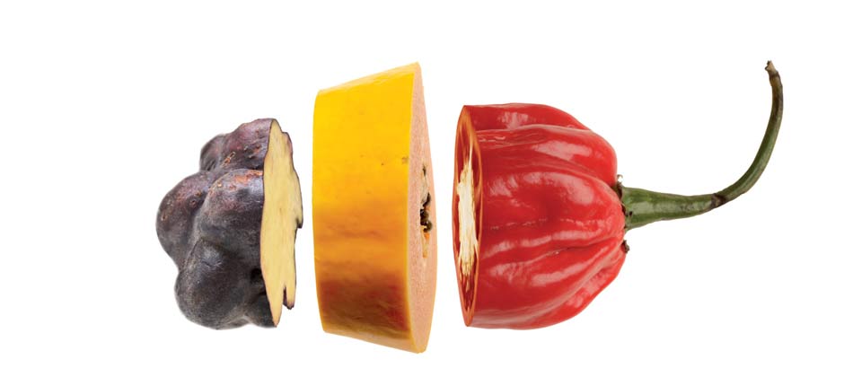 Countdown to San Sebastián Gastronomika