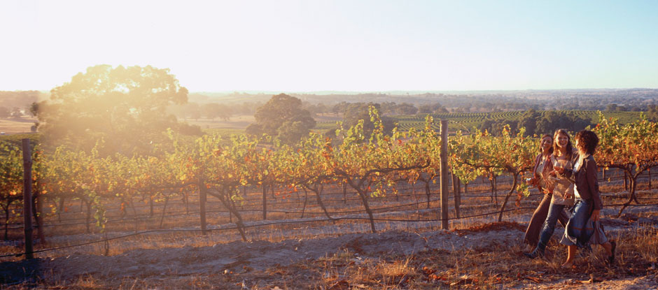 All you need to know about Australian wine in 2017