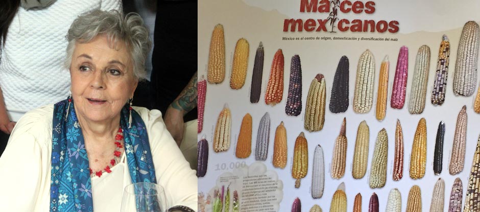 Six corn-based dishes to try in Mexico