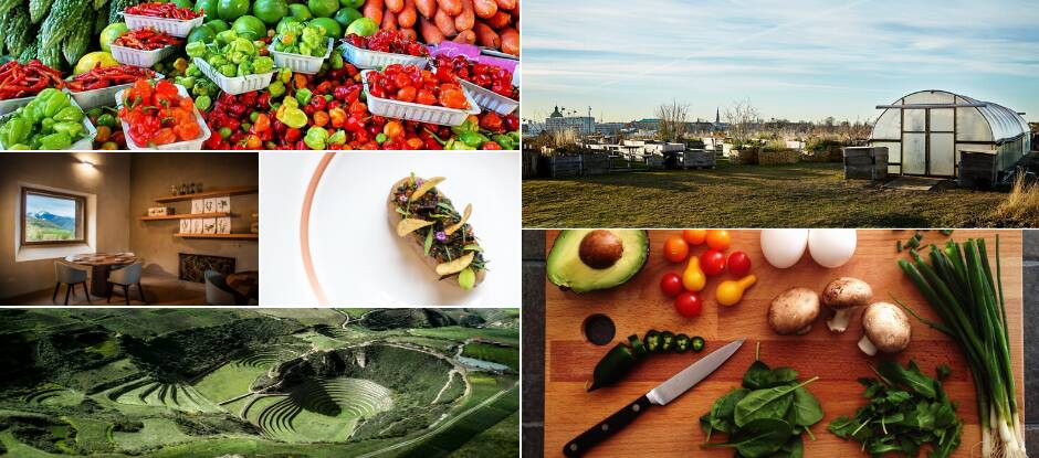 How to cook like the world’s most sustainable chefs in nine easy steps