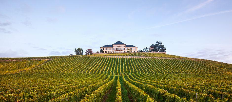 The World's 50 Best Vineyards 2025: the list revealed