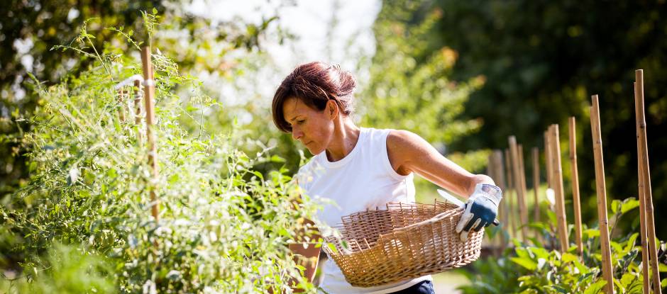 Lara Gilmore: “Working with food is actually about working to change people's futures”