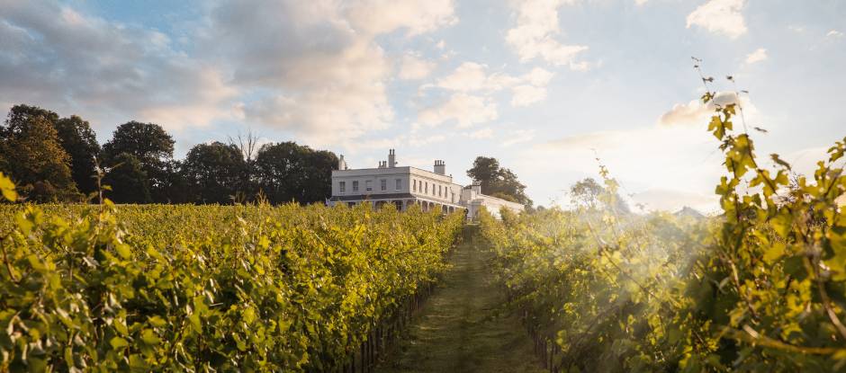 England’s best vineyard stays