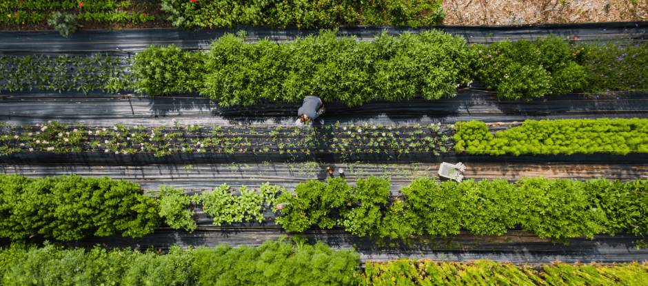 What does it mean to be a progressive restaurant in 2026?