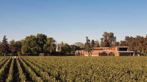Almaviva