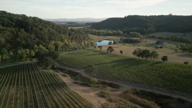 Maysara Winery