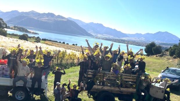 Rippon