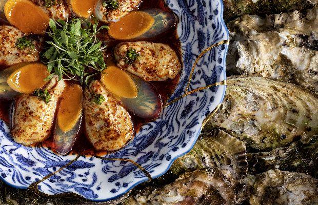 H&O SC WING TOP 50 シャーク H&O SC WING TOP 50 シャーク H&O ウイングトップ50 エイチアンドオー