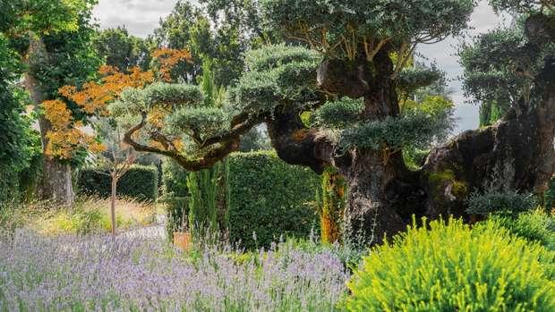 Château Pape Clément Image1