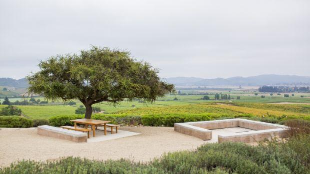 Viña Casas del Bosque - Image 2