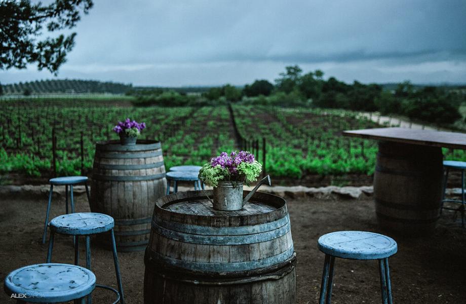 Deckmans-ValledeGuadalupe-Mexico-02