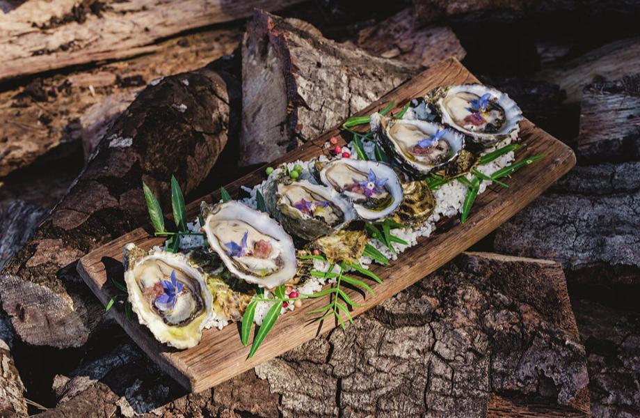 Deckmans-ValledeGuadalupe-Mexico-03