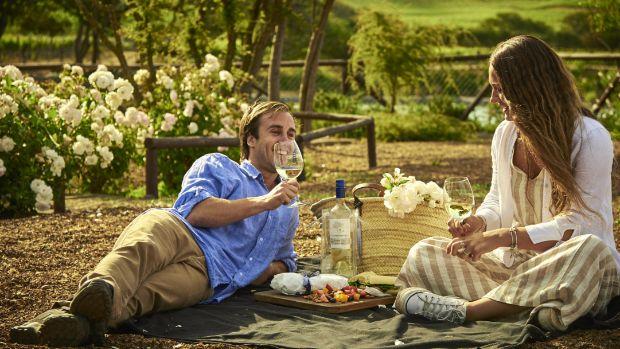 Viña Casas del Bosque - Image 3