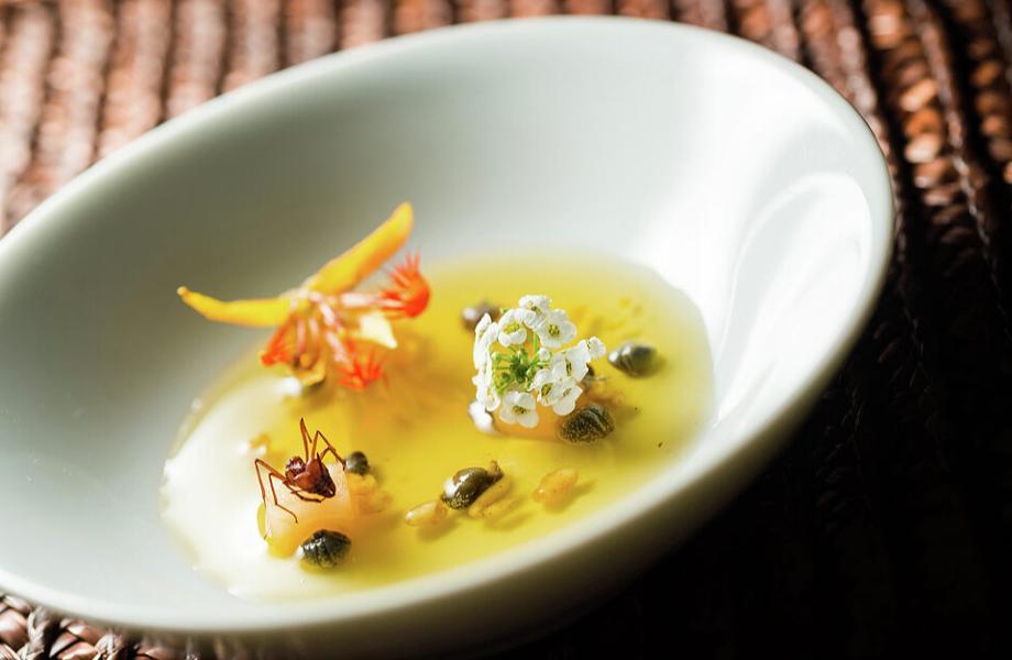 Soeta-Vitoria-Brazil-03