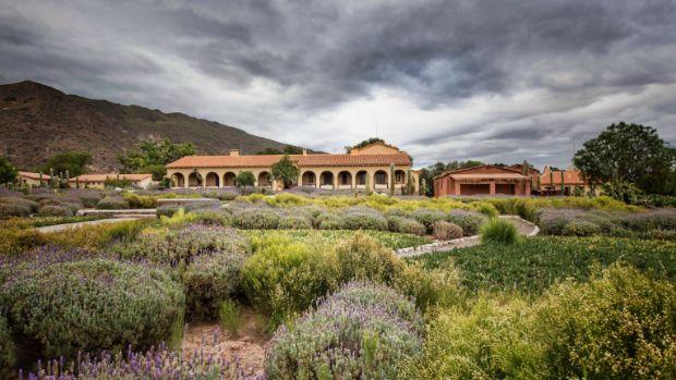 Bodega Colomé - Image 2