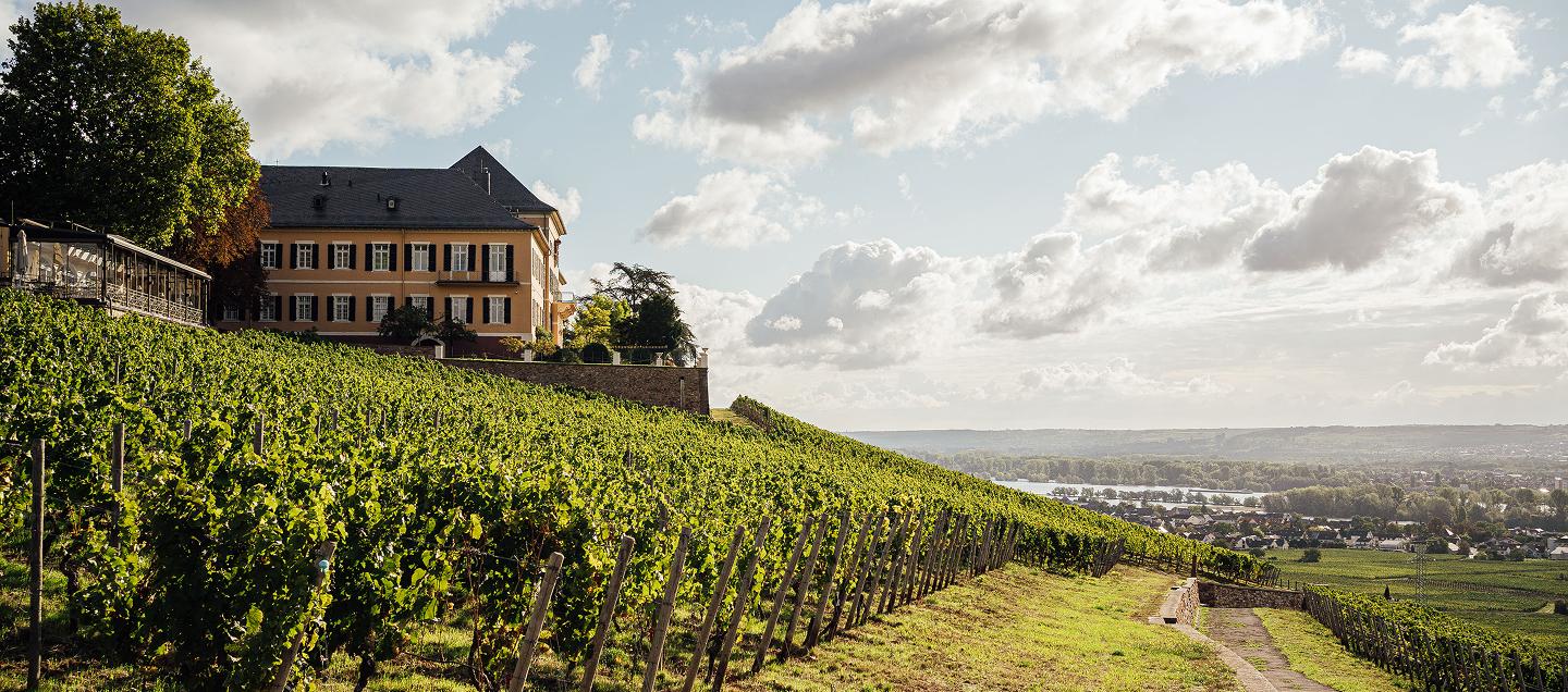 The World’s 50 Best Vineyards 2025