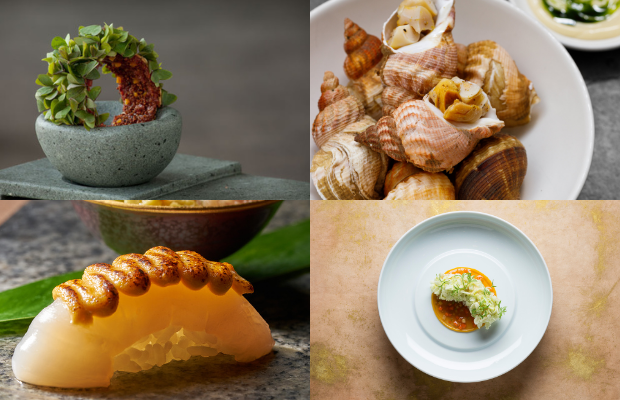 The List 2021 The List 2021