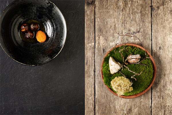 Noma-dishes-600x400-new-openings