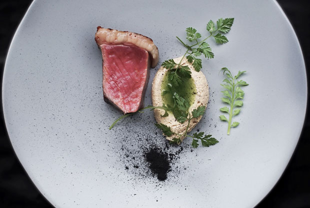 Chila-LATAM-2017-DISH2