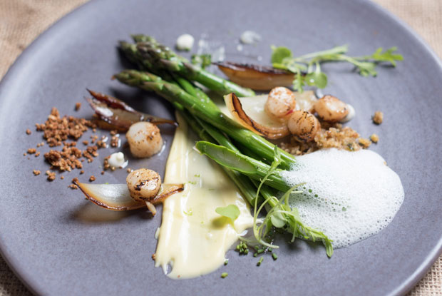 Crizia-LATAM-2017-DISH2