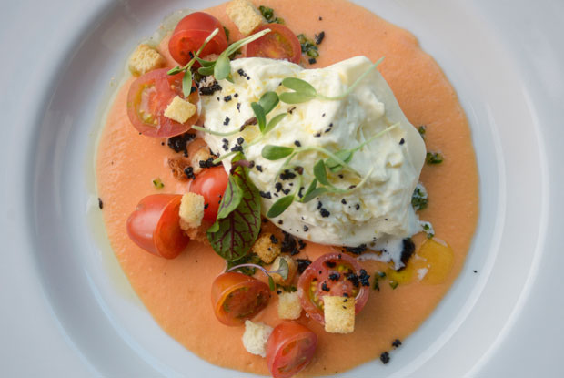 Elena-LATAM-2017-DISH1