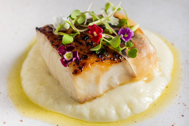 Lasai-LATAM-2017-DISH2