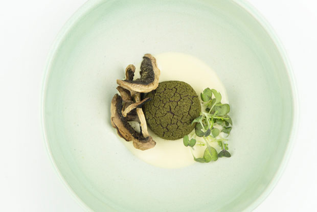 Leo-LATAM-2017-DISH1