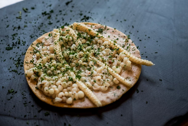 Maito-LATAM-2017-DISH1