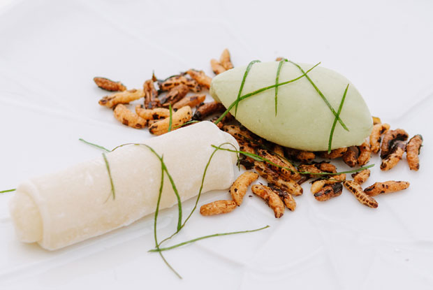 Mani-LATAM-2017-DISH1