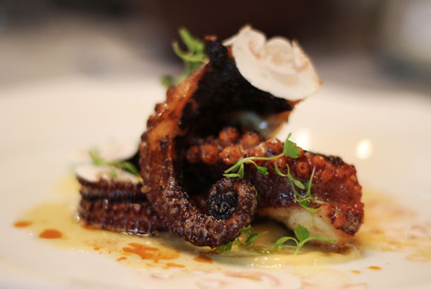 Maximo-LATAM-2017-DISH1