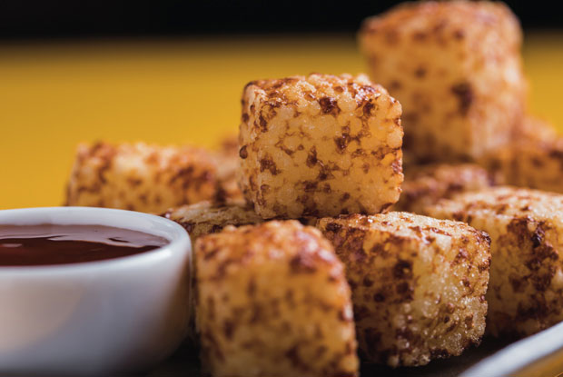 Mocoto-LATAM-2017-DISH2