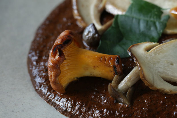 Rosetta-LATAM-2017-DISH2