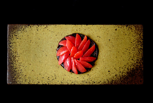 Tuju-LATAM-2017-DISH1