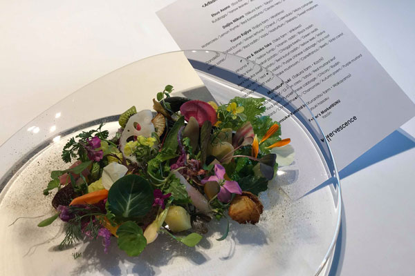 Sra-planet-blog-18-leffer